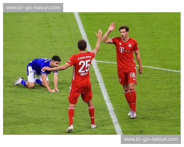 德甲巅峰对决：黄色潜水艇与南大王，一场不容错过的荣耀之战